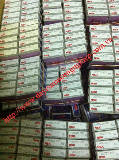 Bạc đạn NSK 6000